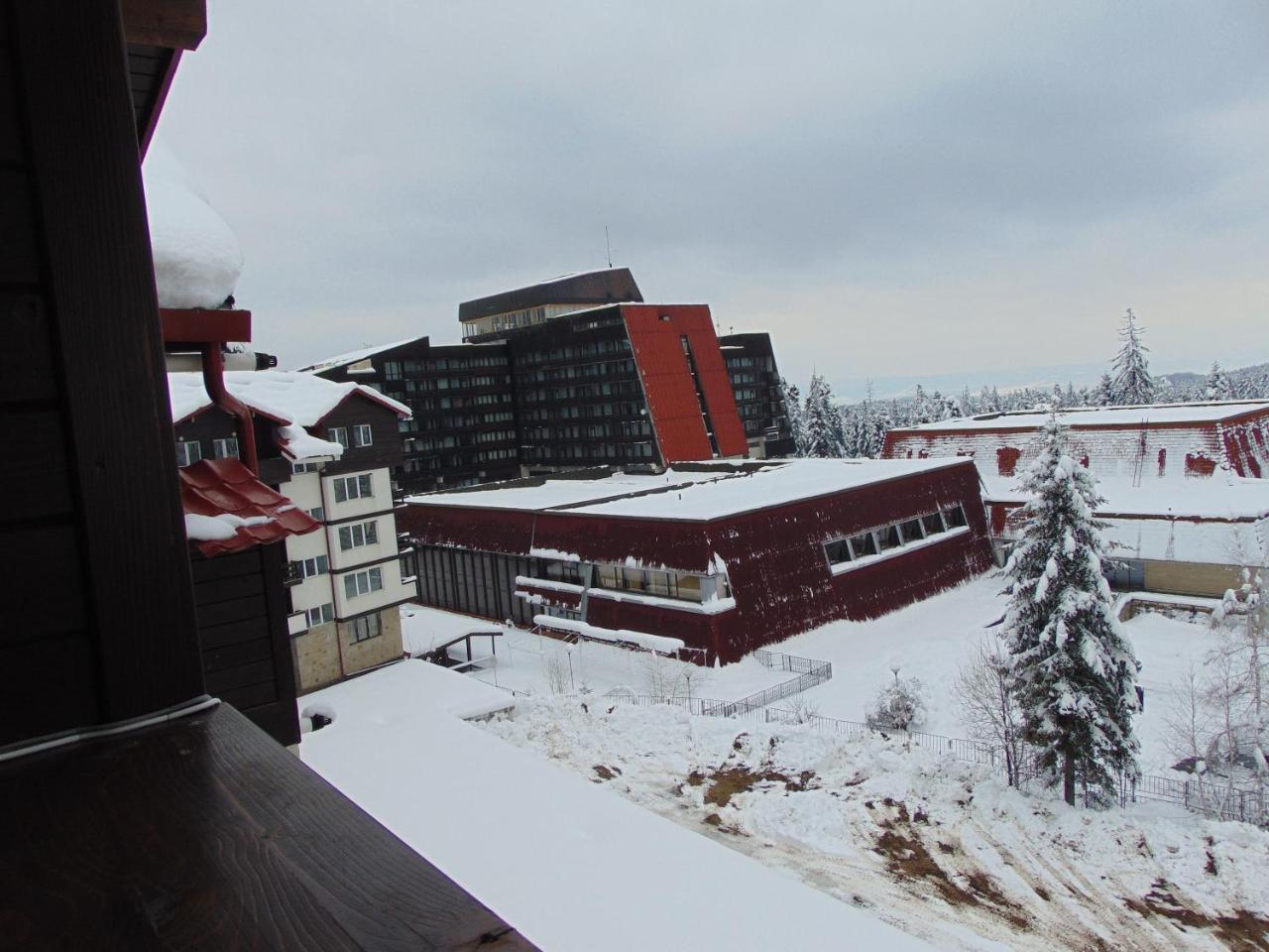 Ski Apartment Boyika Iglika 2 Borovec Exteriér fotografie